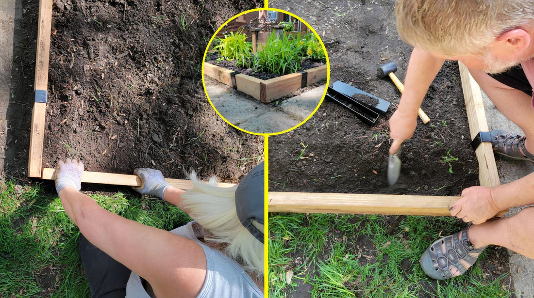 Seniors installing wood landscape edging around their hellstrip garden.