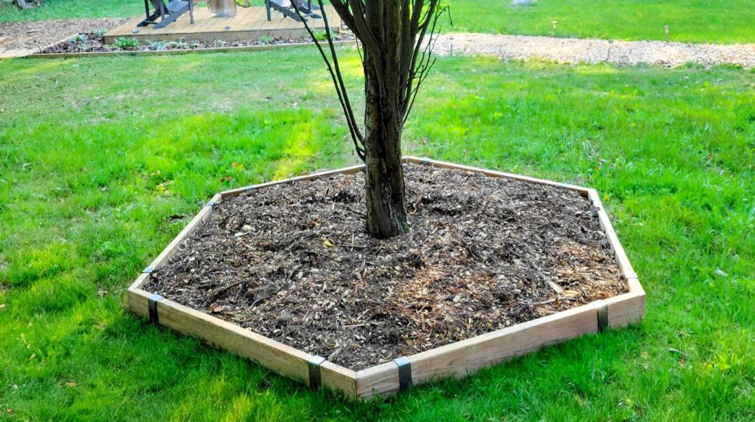 A backyard with a tree edged with 2x4 lumber and Rustic Steel 2xEDGE Staples to create a hexagon shaped tree ring.