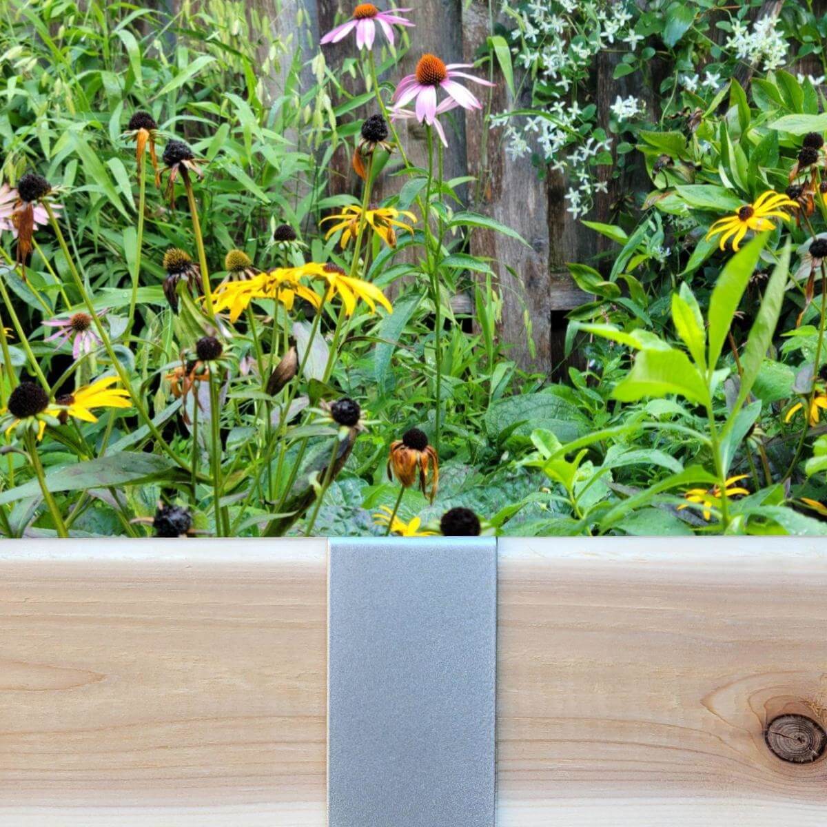 Satin Silver 2xEDGE Staples for garden edging and borders
