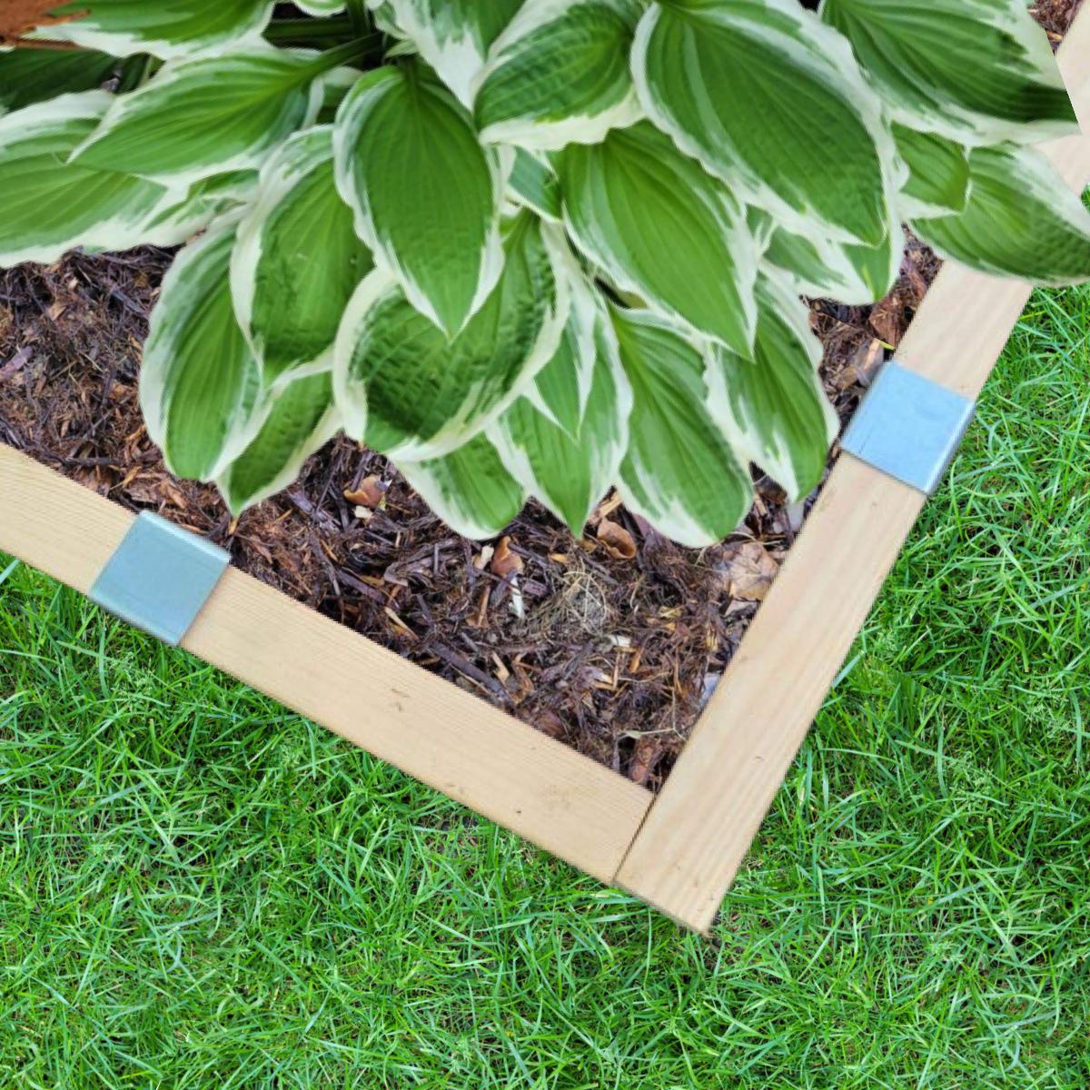 2x4 lumber installed as lawn edging with 2xEDGE Staples to separate grass and a garden bed containing a hosta.
