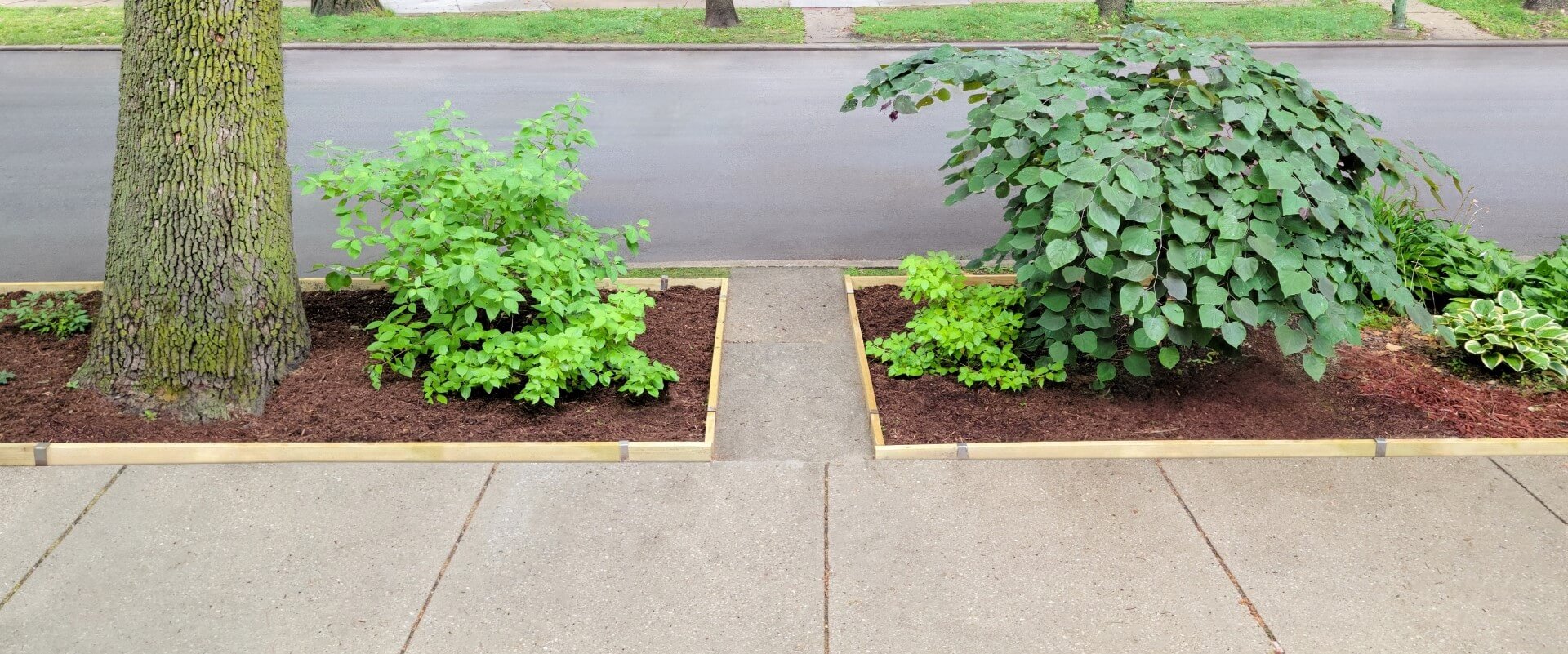 Beautifully landscaped curbside garden edged with 2xEDGE Staples and 2x4 lumber.