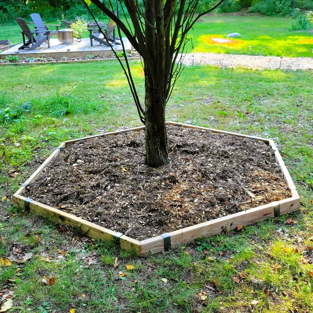 A hexagon shaped wooden tree ring surrounds a tree with mulch held in place by lumber installed with 2xEDGE Staples.
