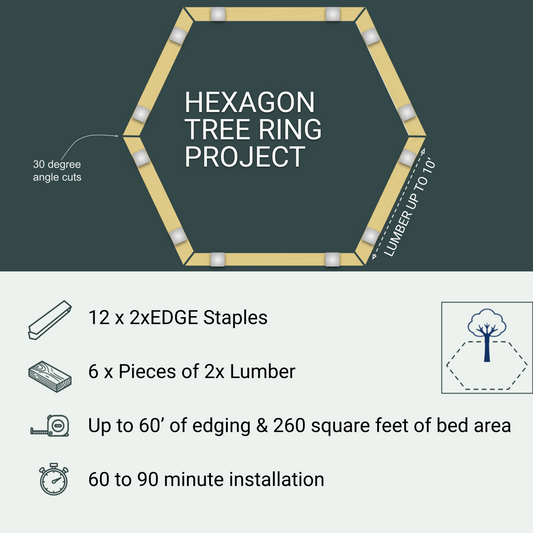 Hexagon Tree Ring Project, 12 Staples