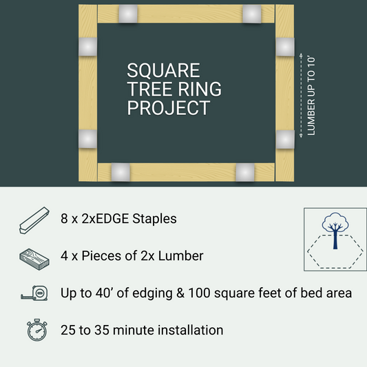 Square Tree Ring Project, 8 Staples