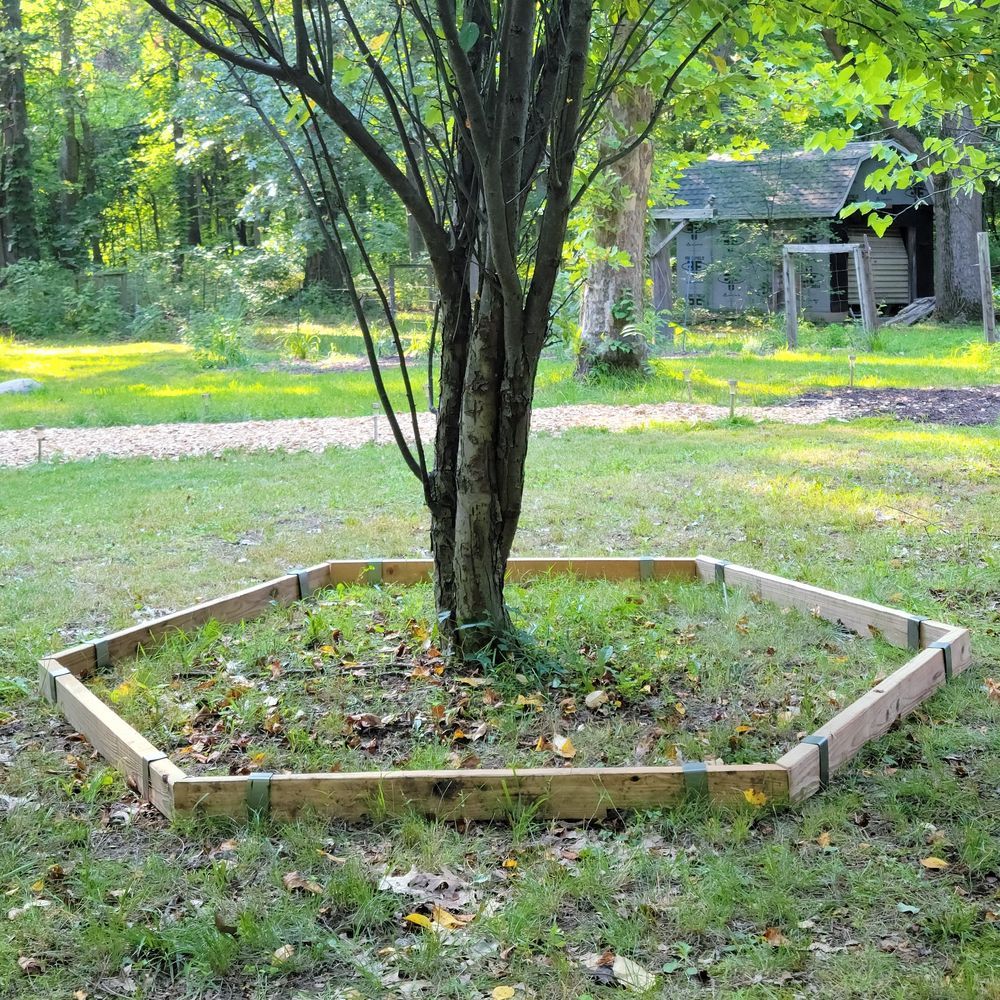 Tree Surround Project