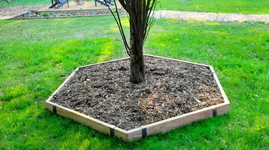 How to Build a Hexagon Tree Surround With 2x4 Lumber