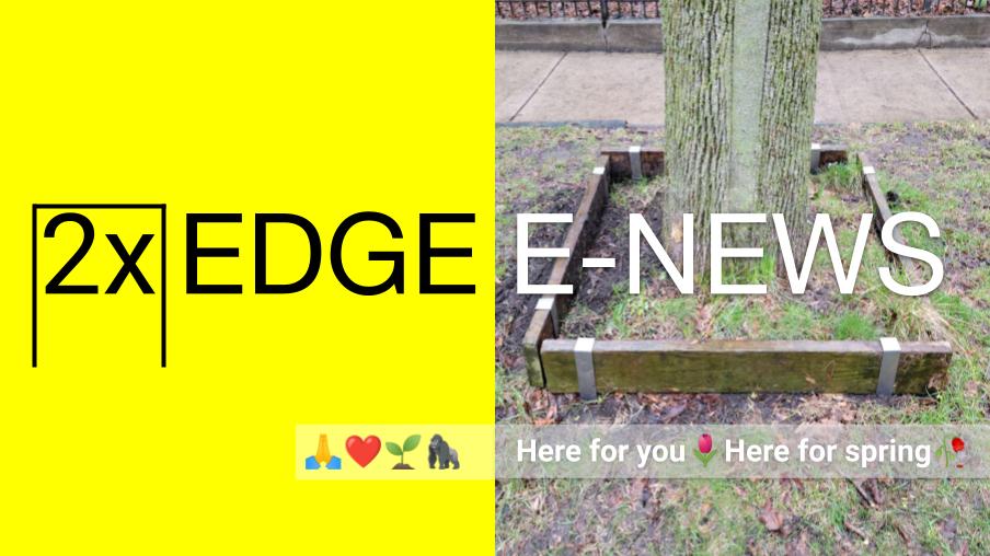 2xEDGE e-news: Here for you🌷Here for spring🥀