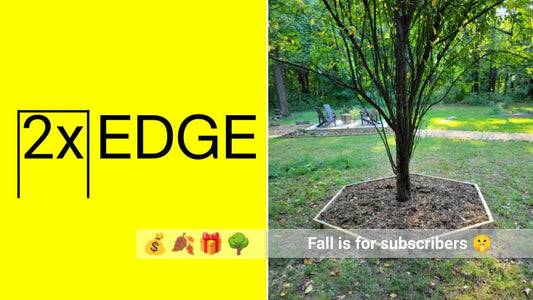 2xEDGE e-news: Fall is for subscribers (10% off!💰)