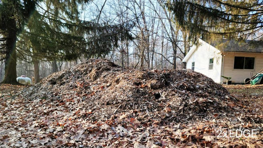 Bark vs Mulch: What Is the Difference (and How Do Wood Chips Fit Into This)?