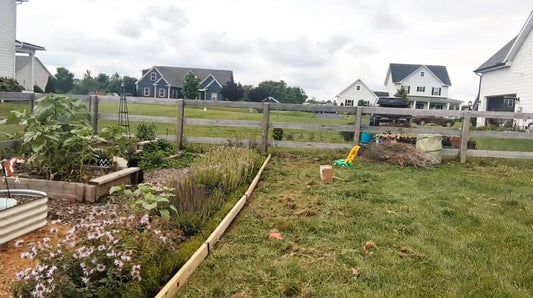 Wooden flower bed border installed along a pollinator strip with 2xEDGE Staples.