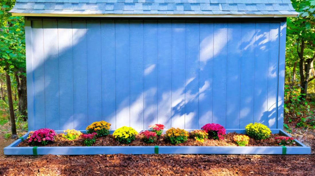 Blue shed with 2x4 wooden flower garden borders painted blue installed with 2xEDGE Forest Green Staples.