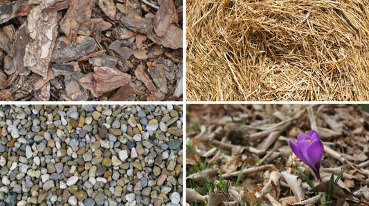 A grid containing four types of mulch: straw mulch, river rocks, pine bark nuggets, and leaf litter.