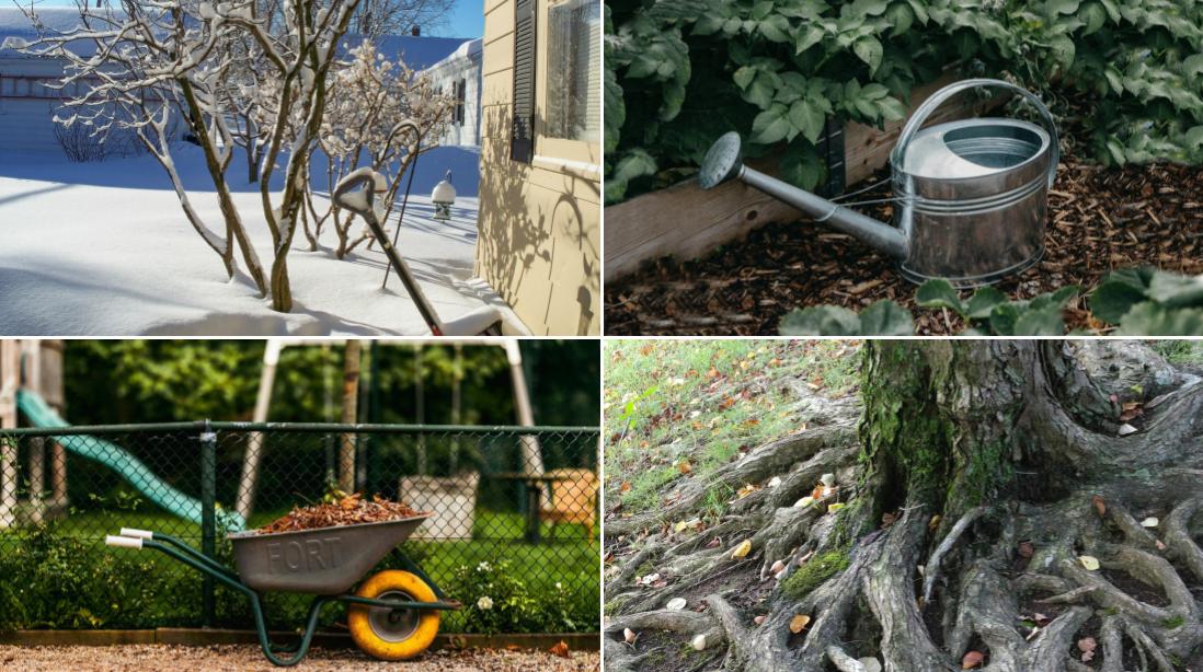 Collage showing common garden conditions that affect wood edging over time, including snow-covered soil, routine watering, garden equipment use, and tree root growth near beds.