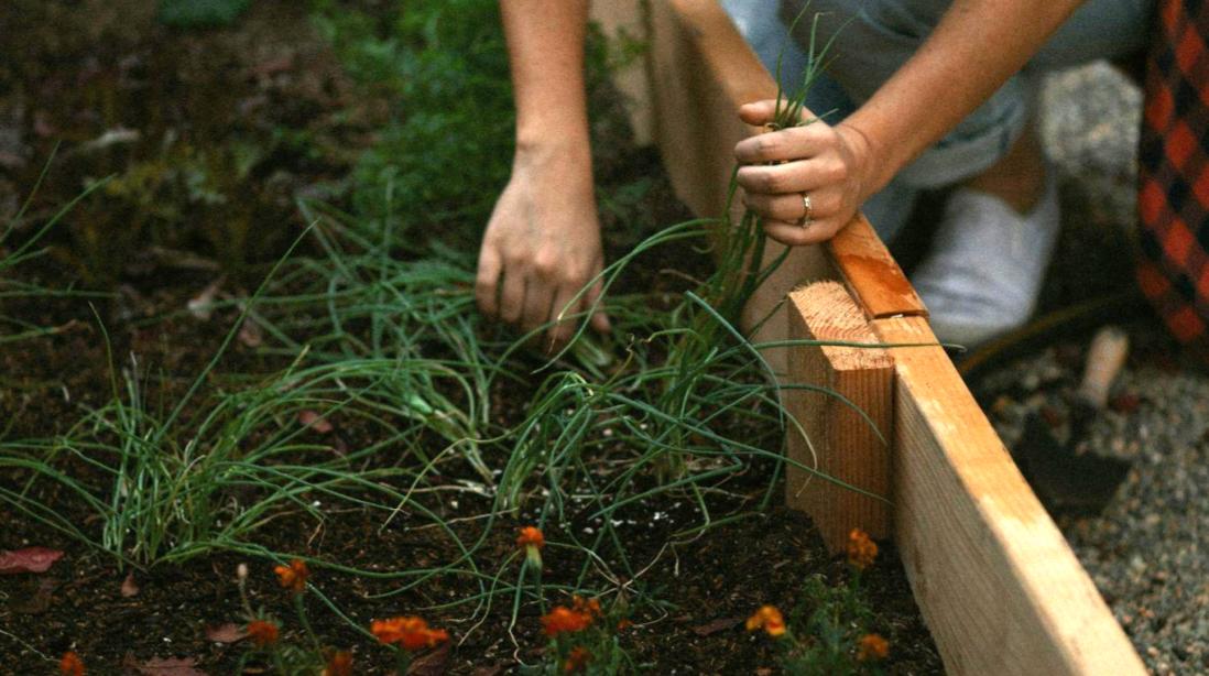 How to Keep Wood Edging From Shifting (What Actually Works)