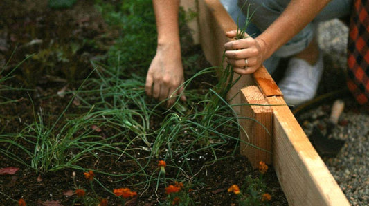 How to Keep Wood Edging From Shifting (What Actually Works)