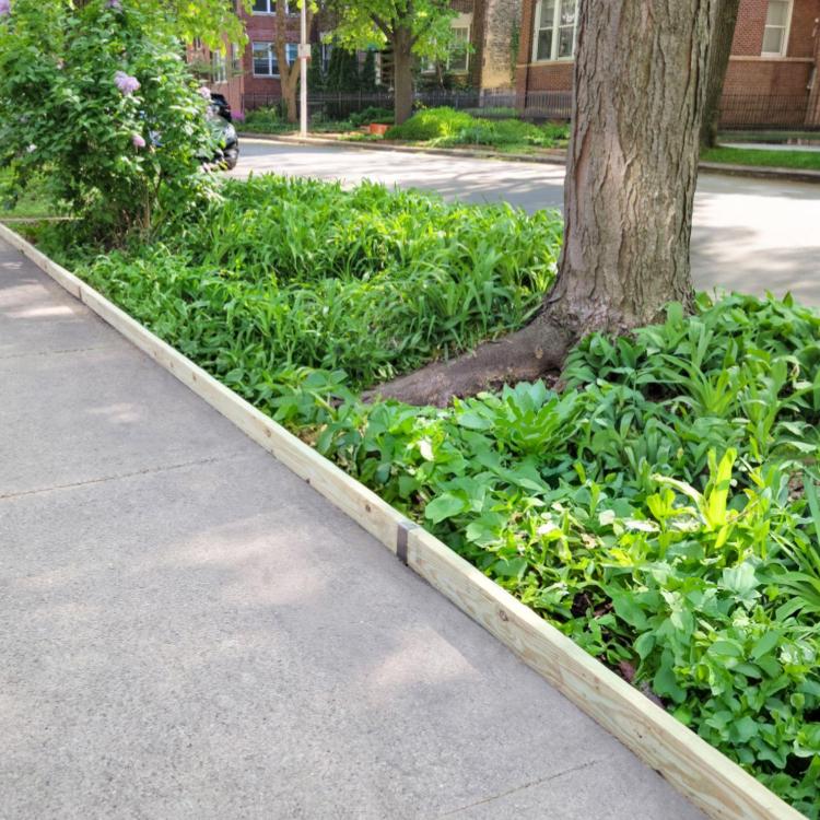 2x4 edging made with pressure treated lumber and 2xEDGE Rustic Steel Staples installed along a sidewalk on an urban street.