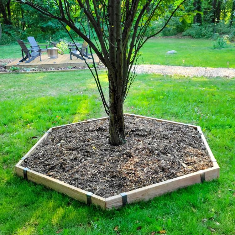 A 6-sided tree ring that serves as a mulch bed made with 2xEDGE Staples and 2x4 pressure treated lumber. 