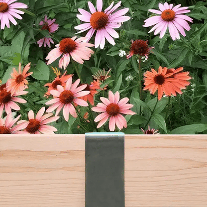 Rustic Steel 2xEDGE Staple installed on 2x4 lumber as wood garden edging