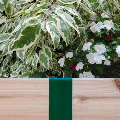 Forest Green 2xEDGE Staple installed on 2x4 lumber as wood garden edging