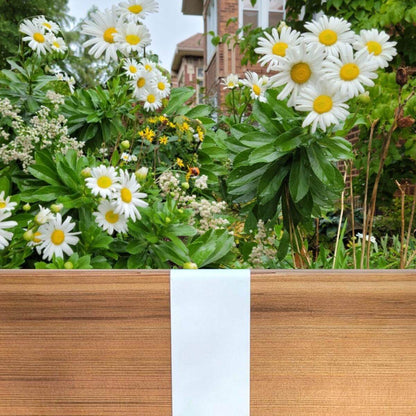 Picket Fence White 2xEDGE Staple installed on 2x4 lumber as wood garden edging