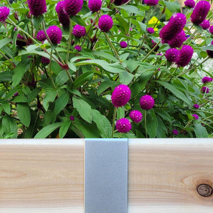 Satin Silver 2xEDGE Staple installed on 2x4 lumber as wood garden edging