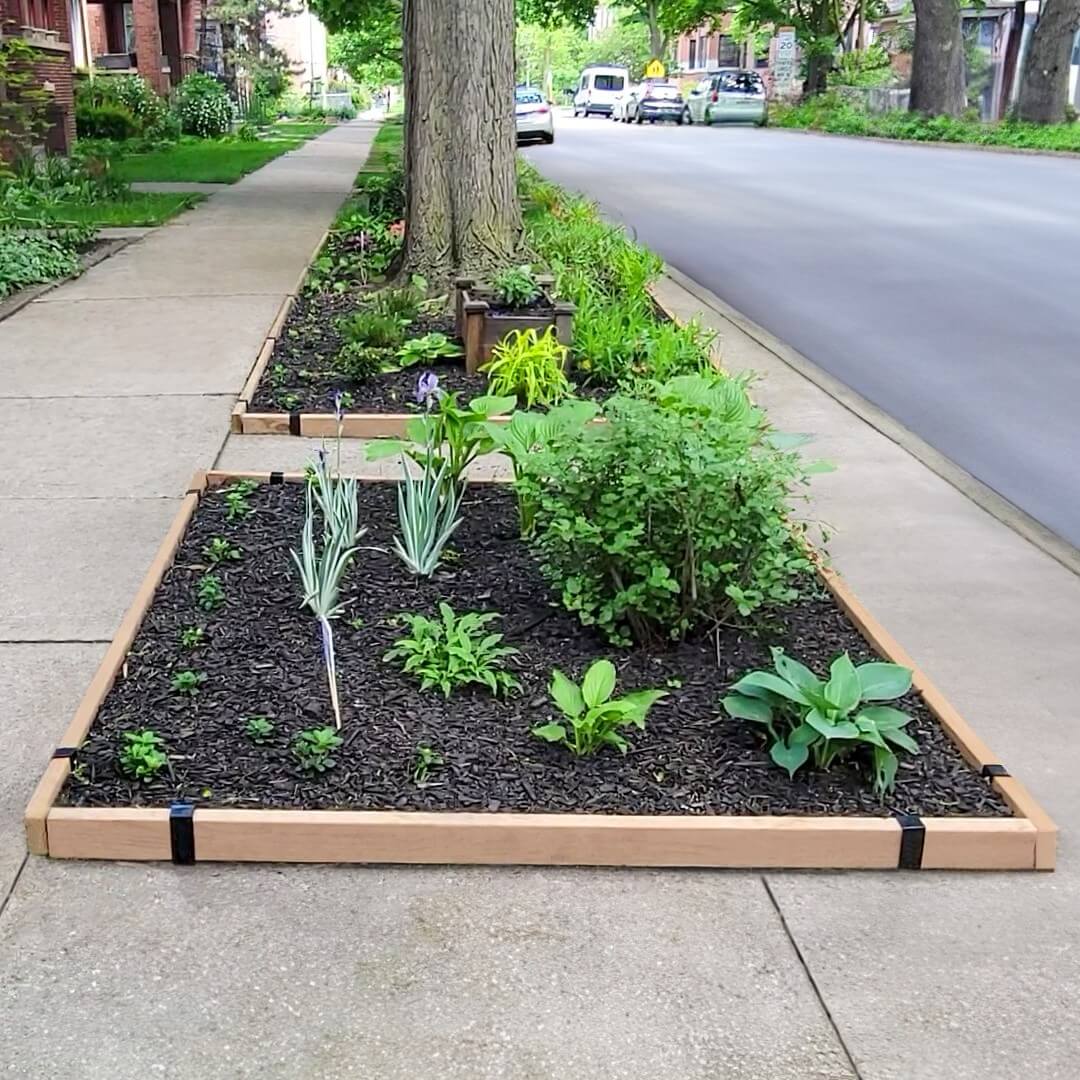 Garden edging around a sidewalk garden on an urban street made with 2x4 lumber and Satin Black 2xEDGE Staples. 