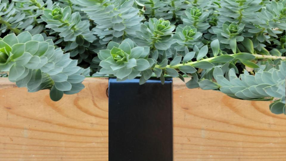 Plants growing over a landscape edging made with 2xEDGE Satin Black Staples