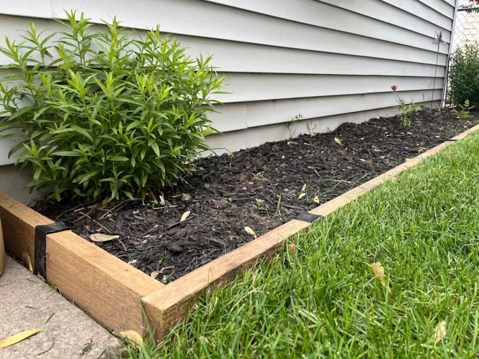 A 2xEDGE customer submitted photo showing 2x4 lumber installed as flower bed edging next to a house. The lumber is installed with Satin Black 2xEDGE Staples and acts as both flower bed edging and lawn edging.