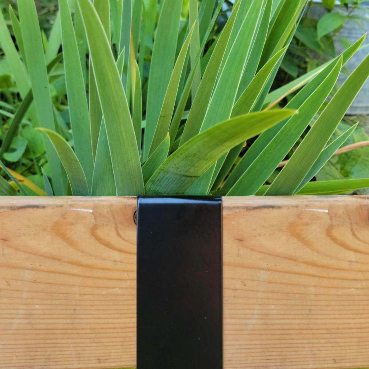 Satin black 2xEDGE staple installed on treated lumber to create flower bed with irises.