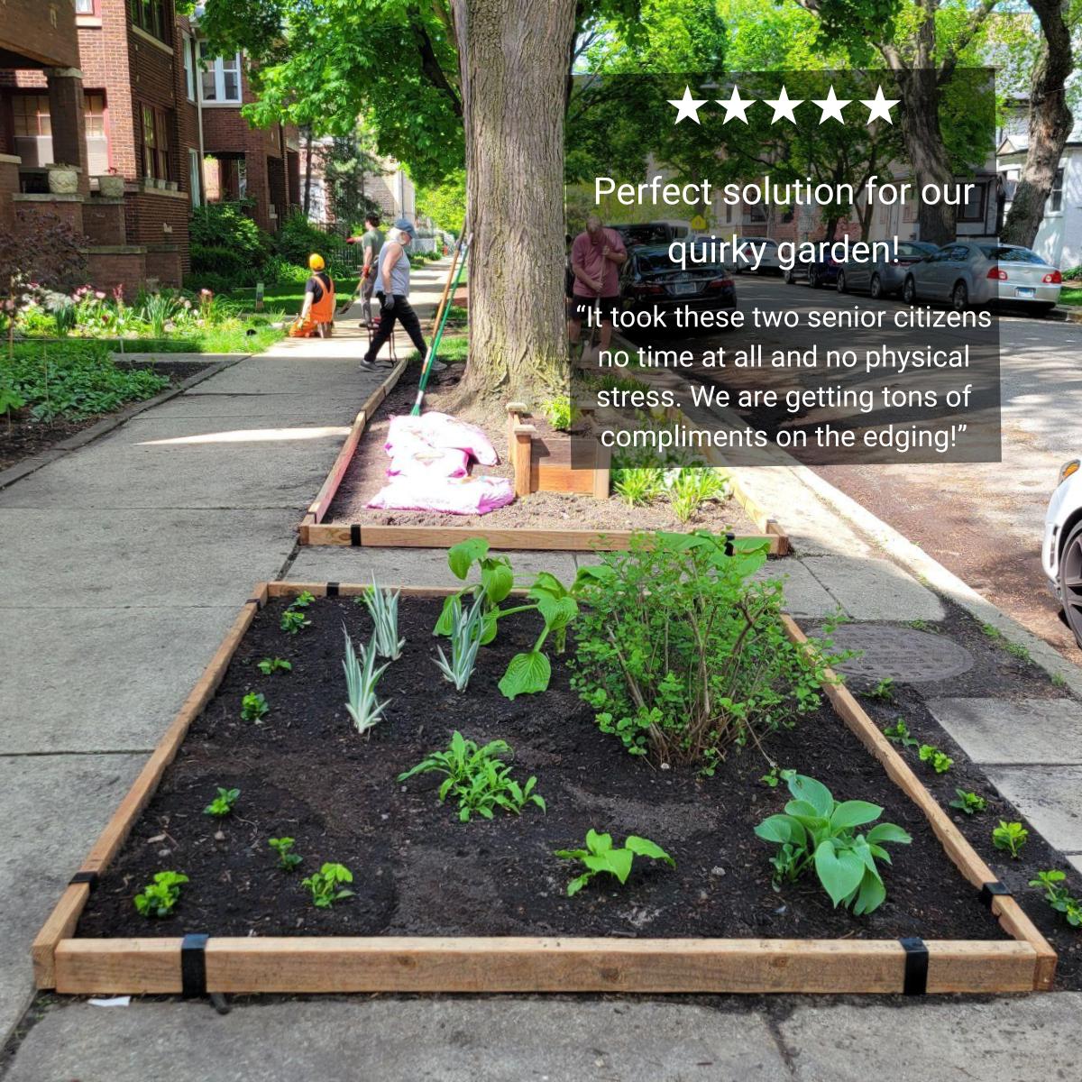 2x4 lumber sidewalk edging installed around a raised bed and street tree, Chicago front yard.