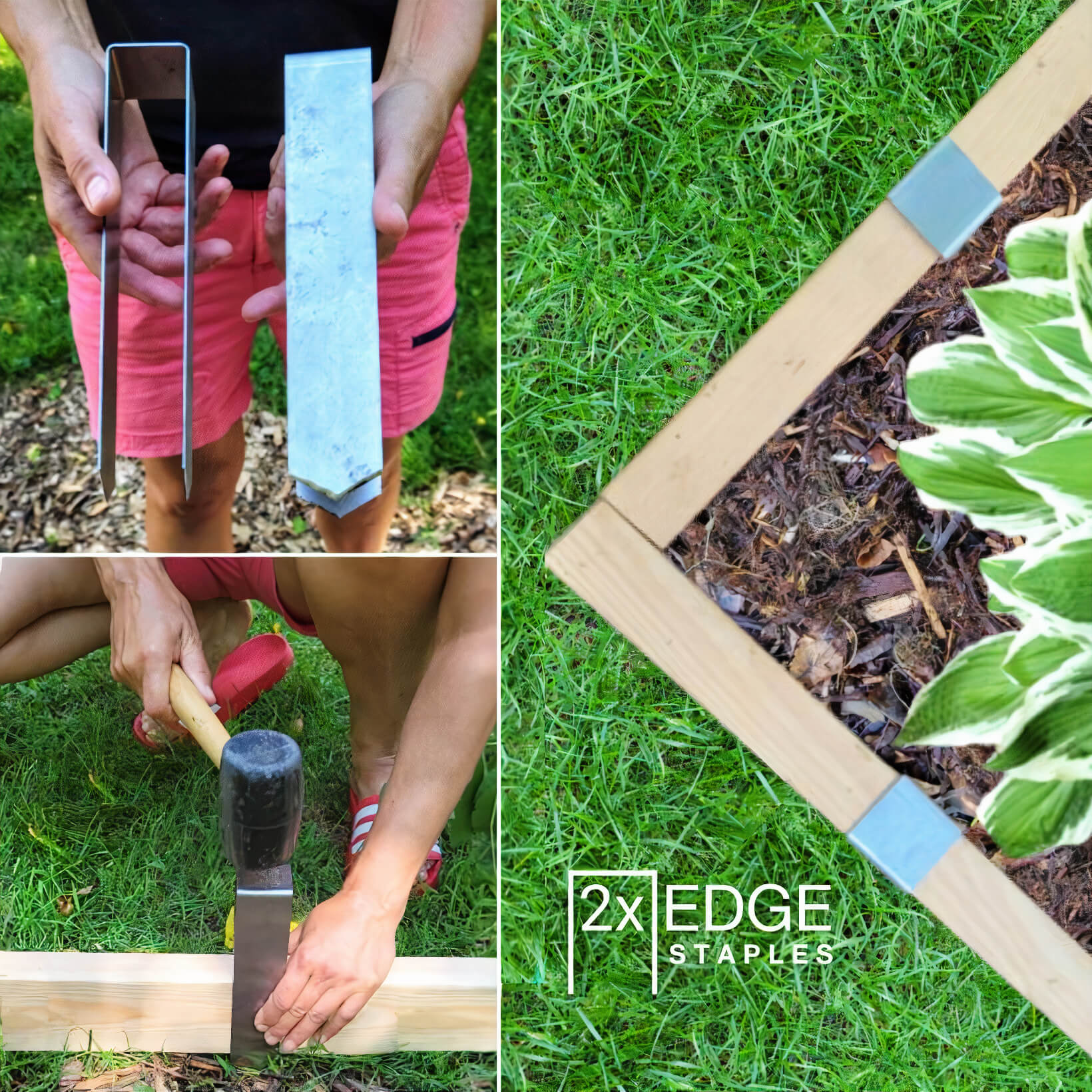 Three photos combined into one image that shows 2xEDGE creator holding 2xEDGE staples, installing a staple with a rubber mallet, and 2x4 wood installed as landscape edging.