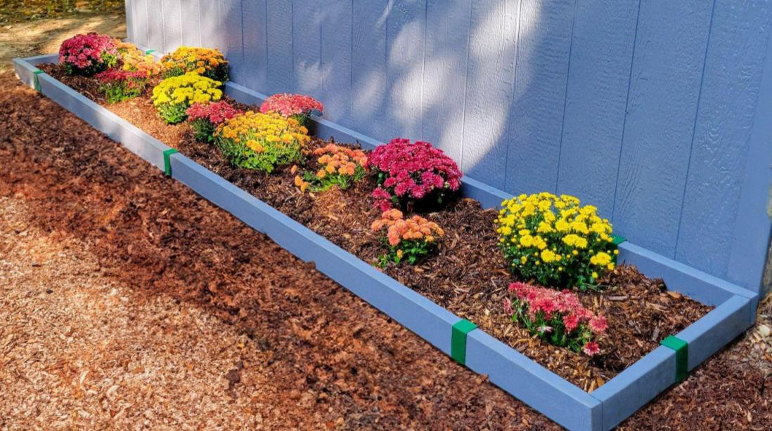 A closeup shot of a flower bed installed along the side of a shed. The bed is defined by painted garden edging made with 2x4 lumber painted blue.