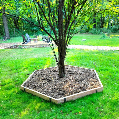 Hexagon Tree Ring Project, 12 Staples