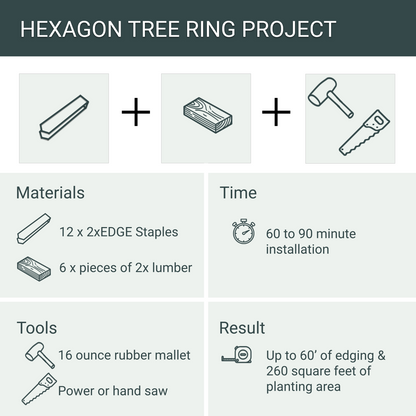 Hexagon Tree Ring Edging Project, 12 Staples