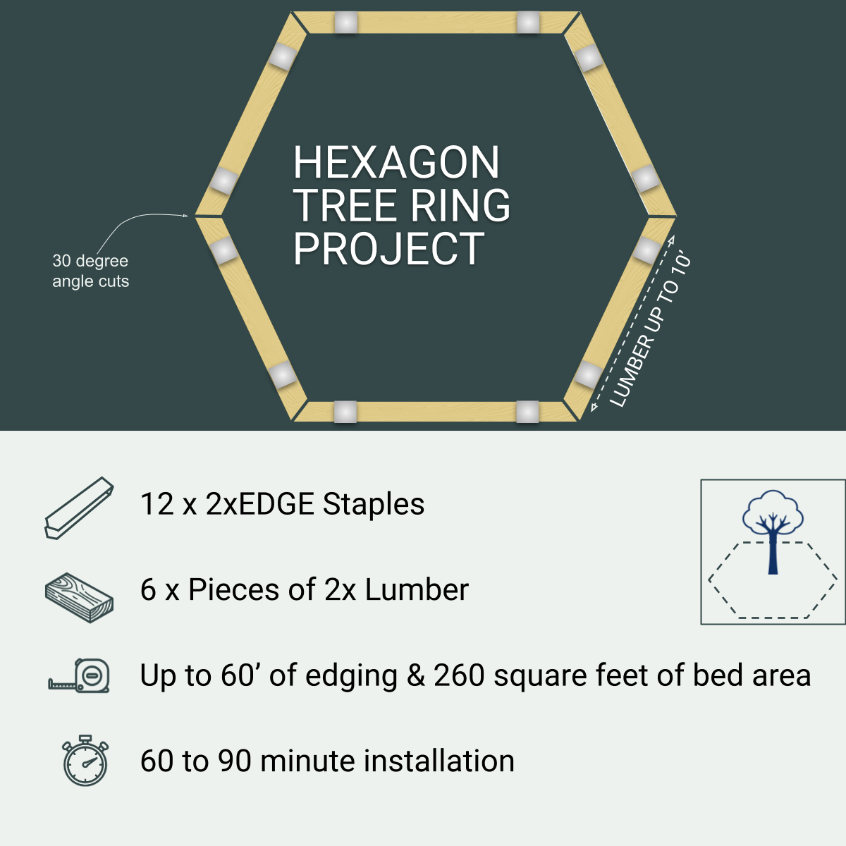 Hexagon Tree Ring Project, 12 Staples