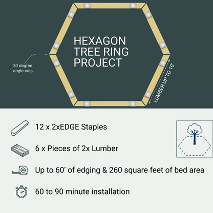 Hexagon Tree Ring Project, 12 Staples