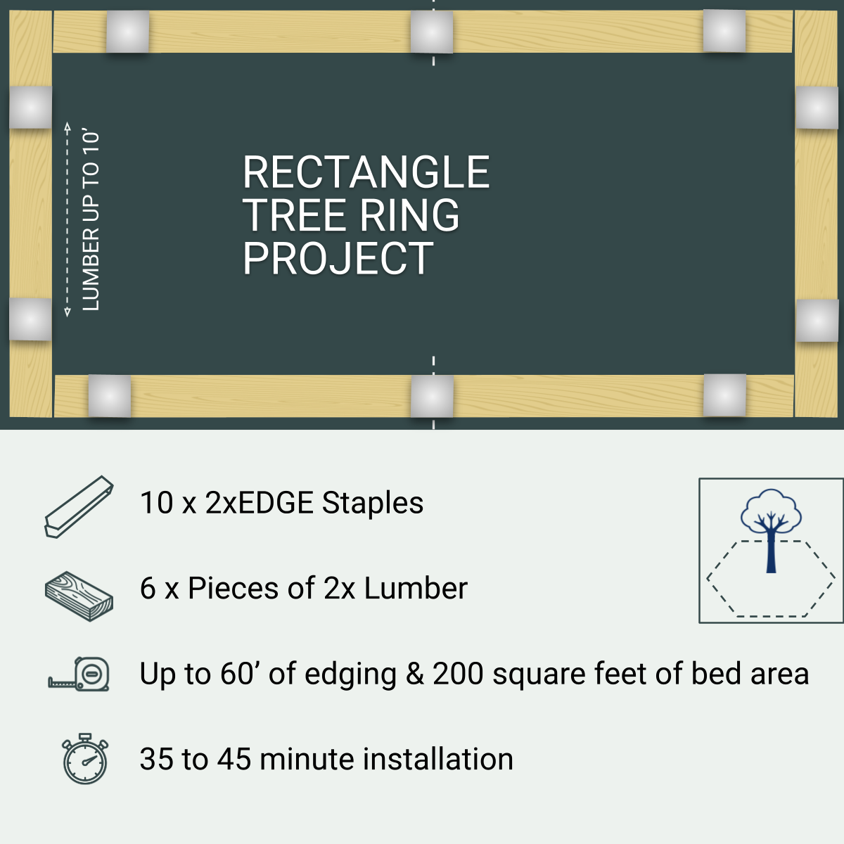 Rectangle Tree Ring Project, 10 Staples