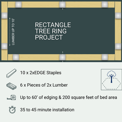 Rectangle Tree Ring Project, 10 Staples