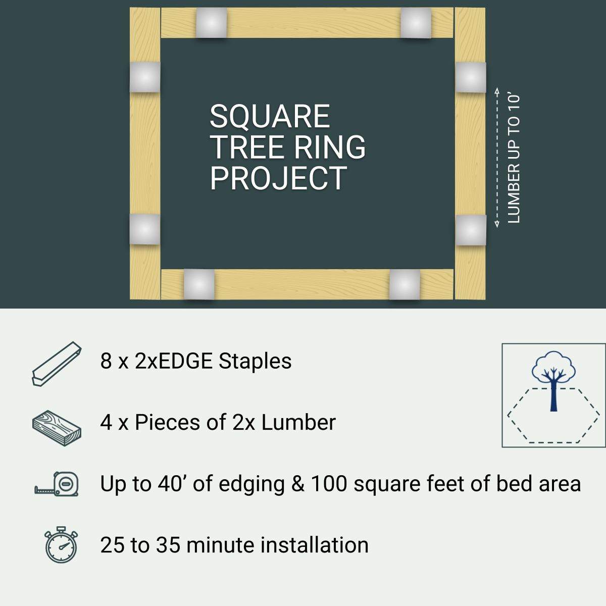 Square Tree Ring Project, 8 Staples