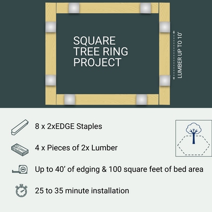 Square Tree Ring Project, 8 Staples
