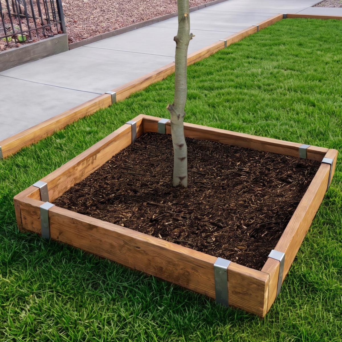 Square Tree Ring Project, 8 Staples