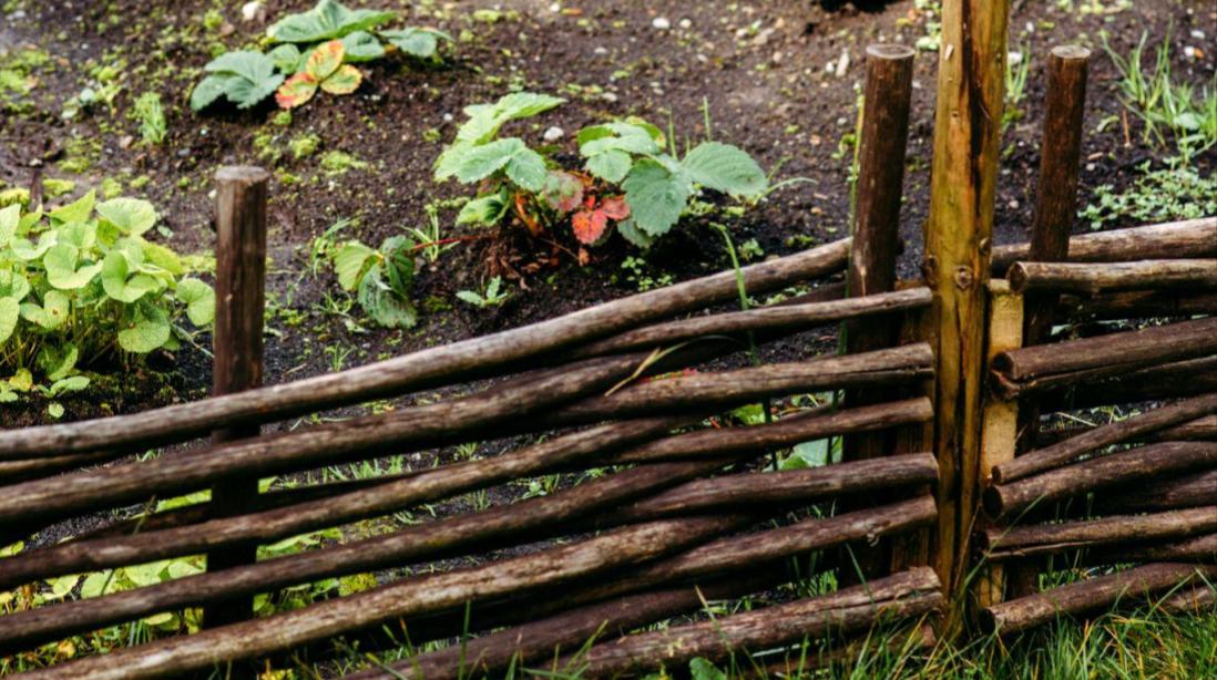 Woven wooden edging in a garden setting with plants and soil. Photo: Eugenia Pan'kiv / Unsplash.