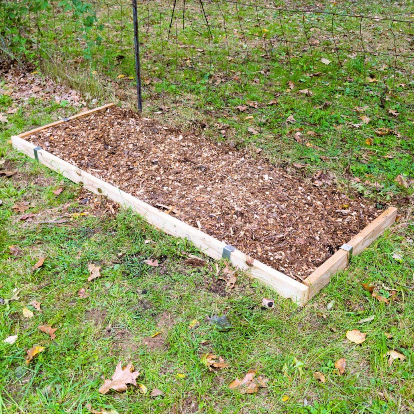 Raised Bed Project