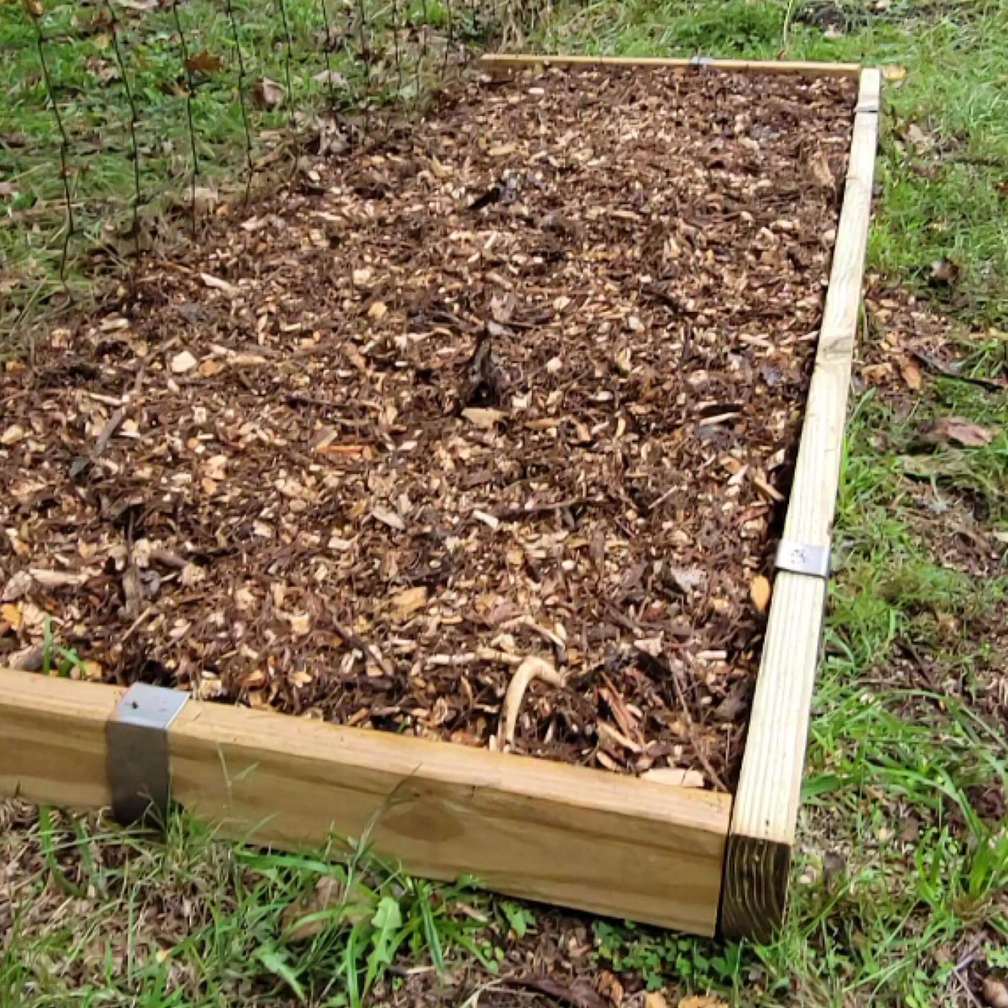Raised Bed Project